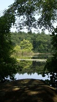 Lake Near Trail